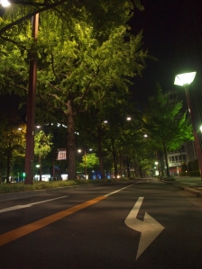 Night time In Nagoya